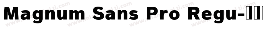 Magnum Sans Pro Regu字体转换